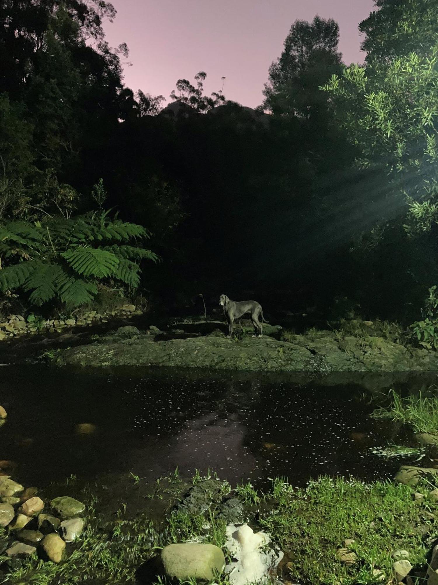 A Riverbed Guesthouse Swellendam Buitenkant foto